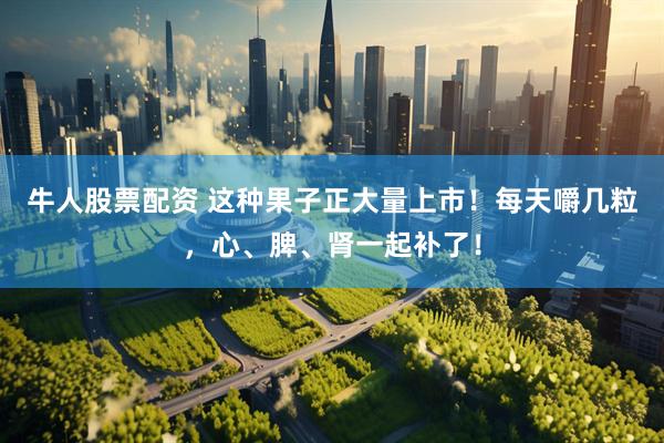 牛人股票配資 這種果子正大量上市！每天嚼幾粒，心、脾、腎一起補(bǔ)了！